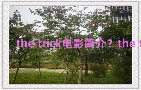 the trick电影简介？the trial 电影